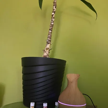 Apartment Cozy Corner Zrenjanin