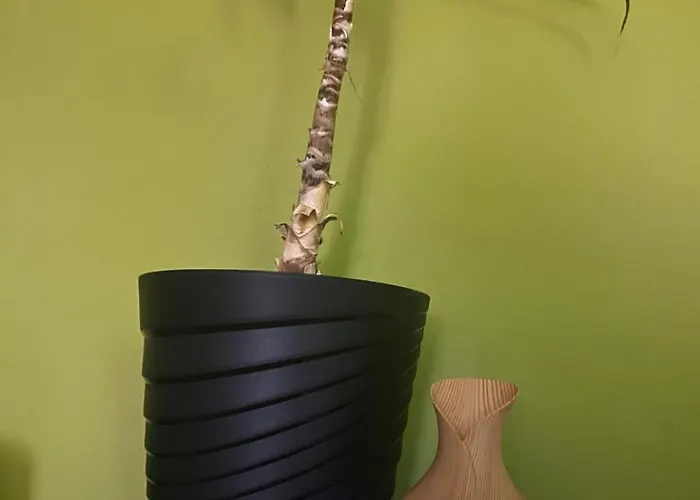 Apartament Cozy Corner Zrenjanin